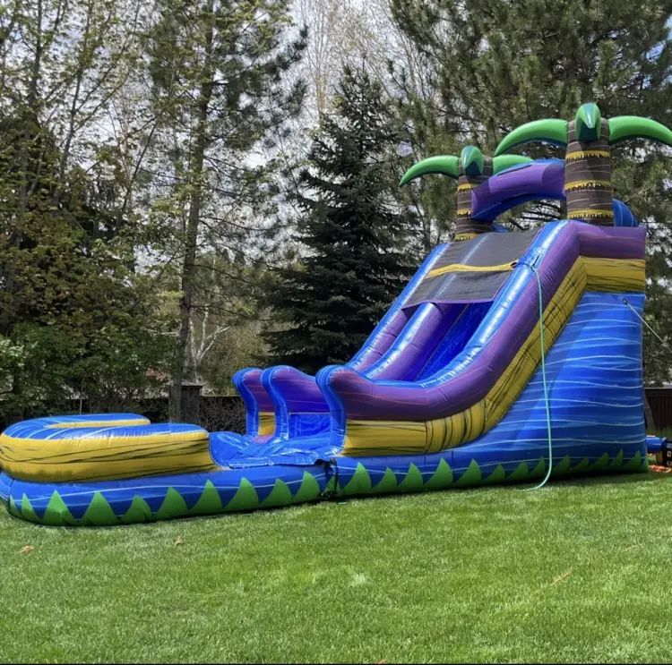 Inflatable water slide from the Perfected Parties rental catalog
